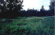 Homer Property