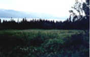 Homer : Kachemak Bay, Alaska