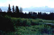 Summer Residential Property