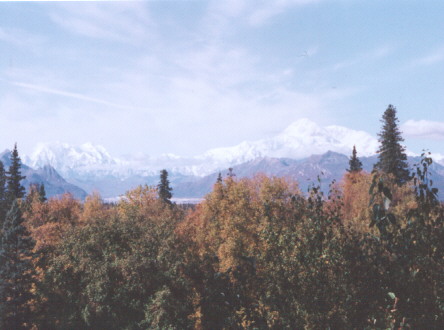 Denali in Fall