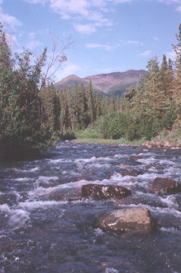 Stream near Denali