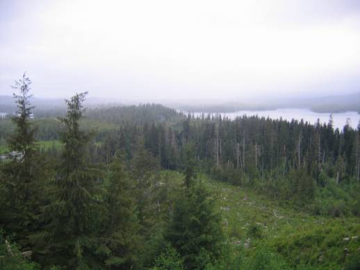 SE030.jpg