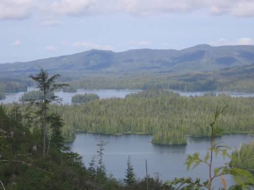 SE060.jpg