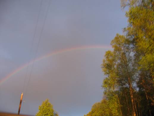 SE270.jpg