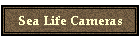 Sea Life Cameras