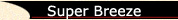 Bsbz.jpg (8548 bytes)
