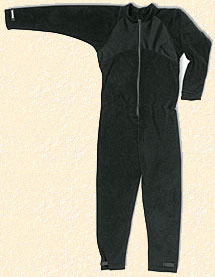 100body.jpg (12811 bytes)