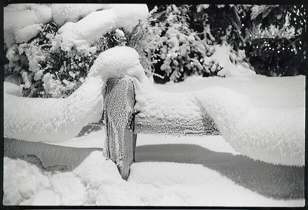Snow on Fence - Anchorage, Alaska - December, 1998