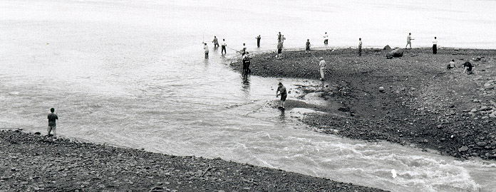 Salmon Fishing in Seward, Alaska