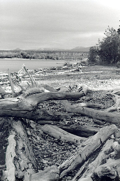 Beach - Naknek Lake - Brooks Lodge at Katmai National Park, Alaska - June, 1999