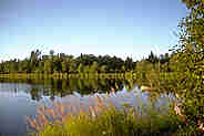 Westchester Lagoon