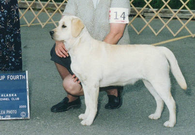 Bekah at 6 months - First show