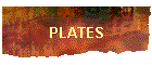 PLATES