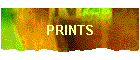 PRINTS
