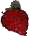 berry