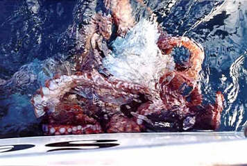 Octopus
