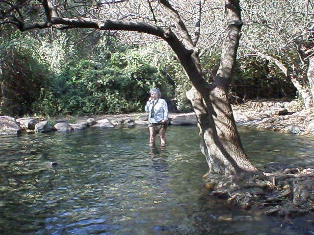 Jordan River.JPG (95941 bytes)