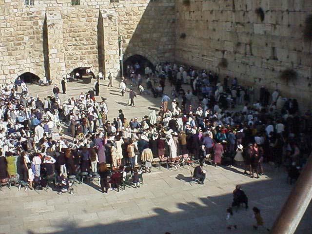 wall.JPG (77390 bytes)