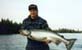 Kenai River Guide Service Photo Gallery