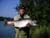 Kenai River Guide Service Photo Gallery