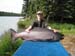 Kenai River Guide Service Photo Gallery