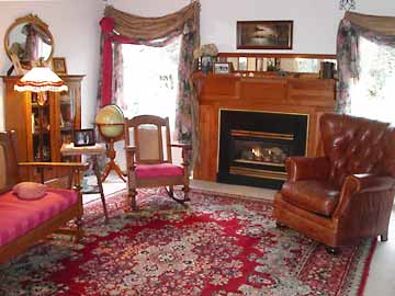Gas Fireplace in Living Room