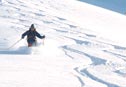 skiing in powder