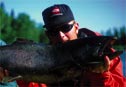 jeremy nobis with king salmon