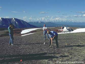 crouquet with mt. mckinley in the background