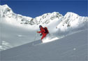 guide in powder