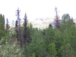mountainbright