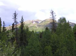 nicemountain