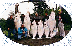 Alaska Halibut