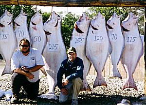 Nice halibut catch!