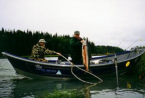 Swifter Drifter Guide Service - Kenai River Alaska