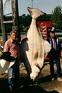 Alaska Halibut