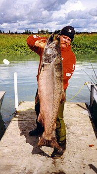 Alaska King Salmon - Kenai River Alaska