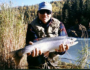 Native Alaska Rainbow Trout - Kenai River