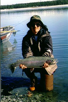 Kenai River Alaska Trophy Rainbow Trout