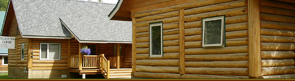 Talkeetna Cabins - Open Summer and Winter