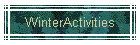 WinterActivities
