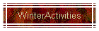 WinterActivities