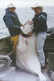 Look at my 410 lb. Halibut!