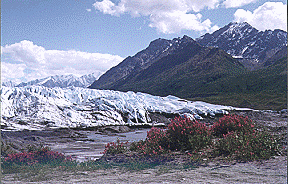 Matanuska Glacier View from Tundra Rose Guest Cottages