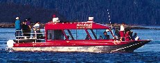 Dolphin Boat