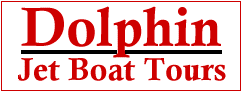 Dolphin Jet Boat Tours Banner