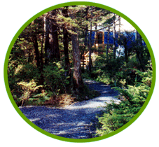 If you are traveling to Petersburg, Alaska this summer, treat yourself to a overnight stay at Yurtsville Retreat - cozy cabin lodging.