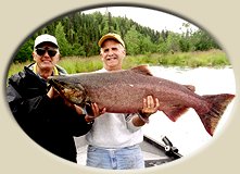 king salmon, salmon fishing guides, salmon fishing charters, alaska guides, alaska salmon charter, kenai river