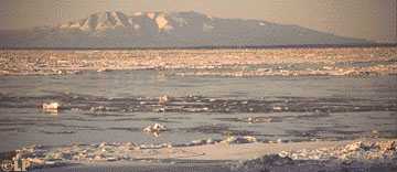 [ice in Cook Inlet]