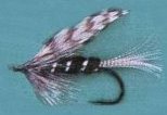 blackfly.jpg (4539 bytes)